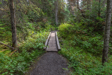 Emerald Lake Hiking Trail in Yoho National Park, Canada