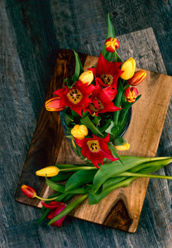 Tulips in a vase