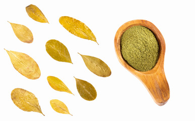 Erythroxylum coca - Coca leaves and flour