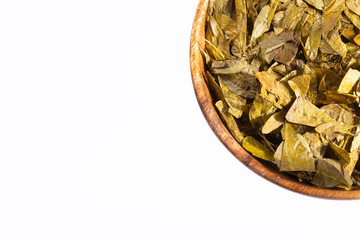Erythroxylum coca - Dried coca leaves