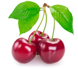 Fresh cherry on white background