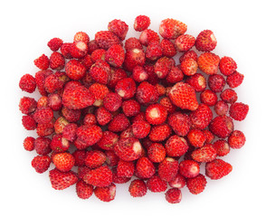 Wild strawberries on white background