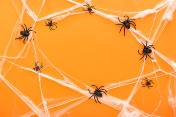 Halloween background with spider web and spiders as symbols of Halloween on the orange background....