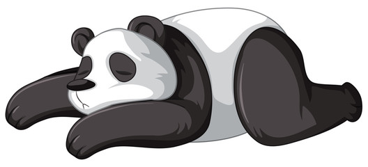 Panda sleeping on white background