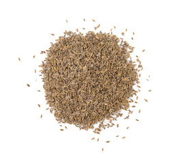 dill seed isolated on the white background. Top view
