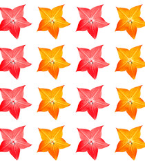 Fototapeta premium Fancy Flower seamless pattern