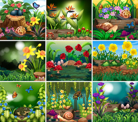 Set of background scene with nature theme