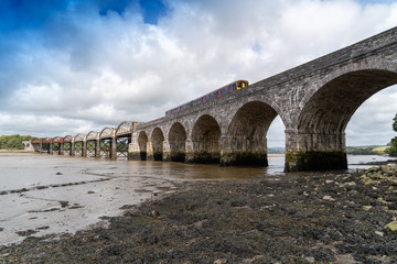 Fototapeta premium Rail Bridge over the River Tavy Devon Dartmoor Plymouth for the Tamar Valley Passenger Railway with Train on the Bridge