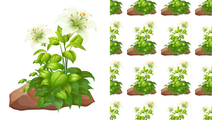 Seamless background design with white lily flowers and rocks