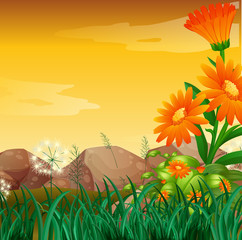 Nature scene with flower garden at sunset