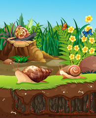 Nature scene with snails crawling in garden