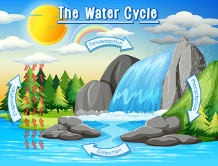 Water cycle process on Earth - Scientific