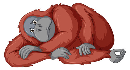 Sad chimpanzee on white background