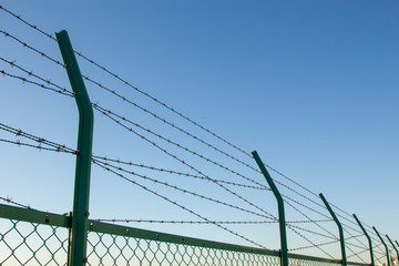Wire mesh_07／鉄条網_07