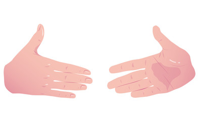 Two flat hands before handshake. Vector Concept Isolated on white background.