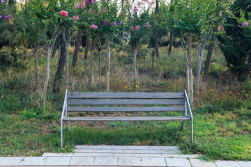 A bench in the park lawn