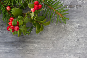 Frame of fir branches with  holly berries on  gray  background. Flat lay, top view. Christmas...