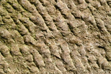 rough rock as background and texture