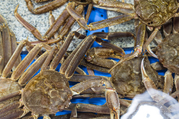 fresh snow crab in seafood market