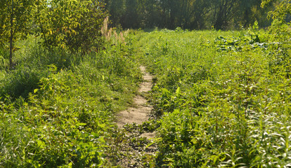 Pathway in the countryside.