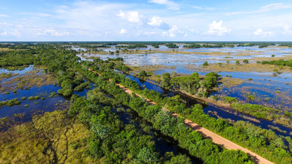 Road crossing the Brasilian Pantanal, surrounded by jungle and water