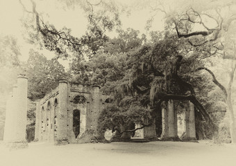 Sepia image of historical Sheldon Church brick structure ruins with columns and overhanging trees and shade