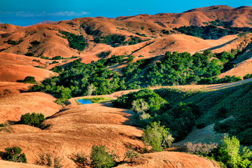 California Golden Hills