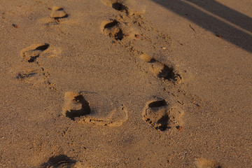 A row of footprints in the sand on a beach in the summertime, seashore. The concept of history, beach holiday