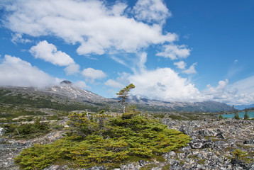 White Pass view in summer