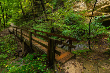 Fototapeta premium Wooden pathway