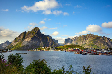 View point of the village Reine in the daytime during the hot season Is a popular place in the Norwegian Lofoten Islands