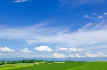 北海道　美瑛　青空と穀倉地帯
