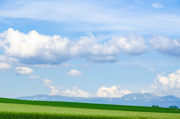 北海道　美瑛　青空と穀倉地帯