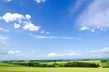 北海道　美瑛　青空と穀倉地帯