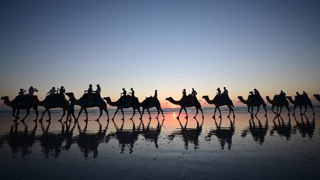 Silhouette of tourists on camel ride convoy on Cable Beach Broome Kimberley Western Australia