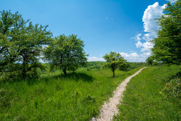 Path with small stones on the green hill on a summer day