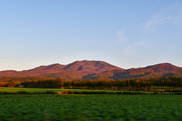 秋の夕方の朱色に染まる知床・海別岳（北海道・斜里町）