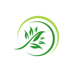 green leaf eco friendly logo design vector icon illustrations