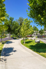 Paved walkway with maple trees in park area of residential community.