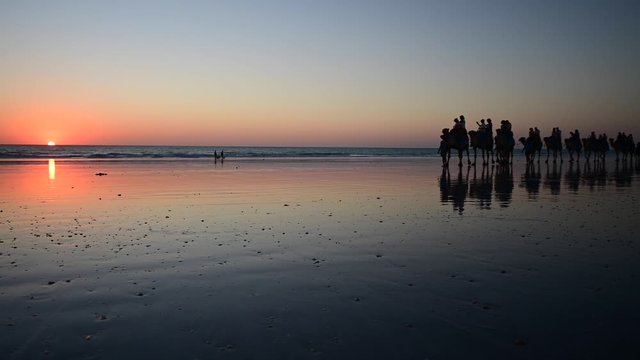 Silhouette of tourists on camel ride convoy on Cable Beach Broome Kimberley Western Australia in slow motion.