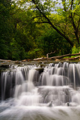 Cascade in Waterfall Glen