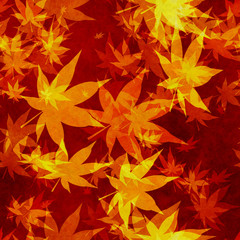 Autumn leaves