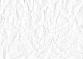 Japanese paper with moss_02／皺のある和紙_02