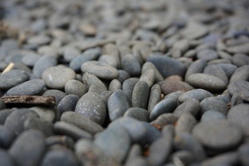 Stones in the Lawn, Macro