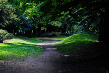 のどかな公園