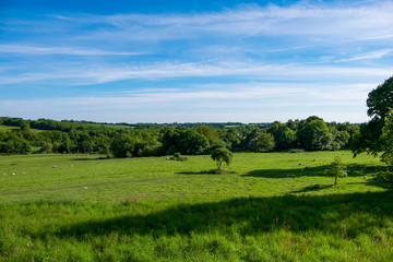 Senlac Hill has a historical background filled with war and change. Now lies just a lush green grass field filled with trees and sheep on a partially sunny day in England, UK.