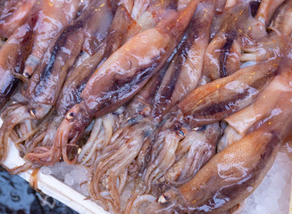 Fish at seamarket
