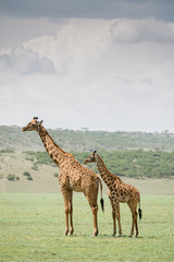 Tanzania, East Africa