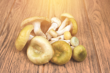mushrooms on a wooden board
