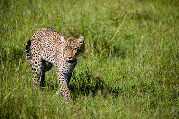 Tanzania, East Africa
